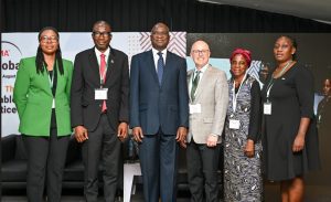 Make maintenance mandatory for public, private structures — Fashola